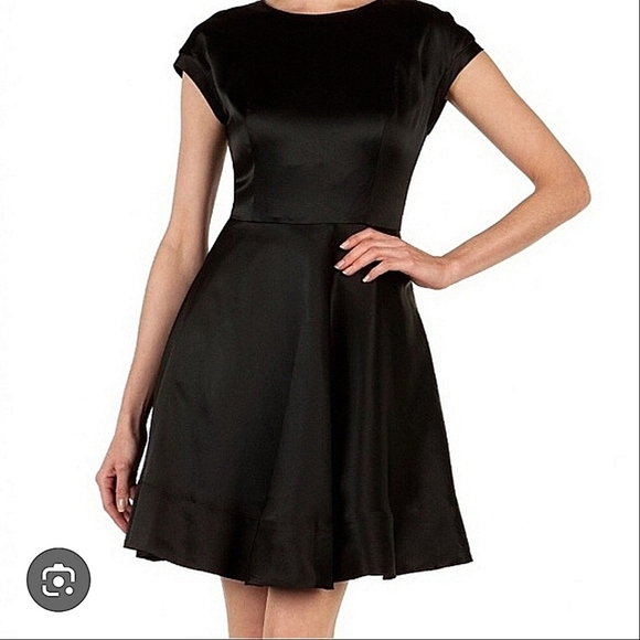 Ted Baker London Dresses & Skirts - TED BAKER-London Haydaa Black Silk Dress-Size 1(4)